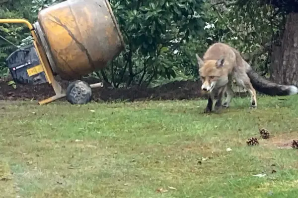 the_lime_brickie__2021-04-29T173201.000Z_7