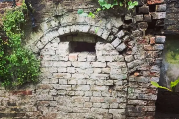 the_lime_brickie__2021-05-24T182837.000Z_3