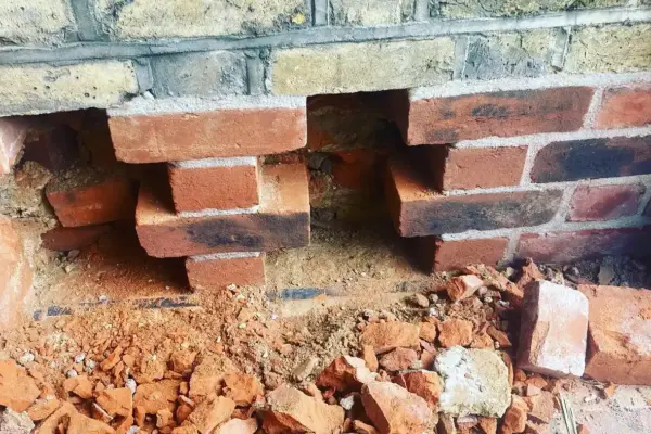 the_lime_brickie__2022-05-19T113916.000Z_1